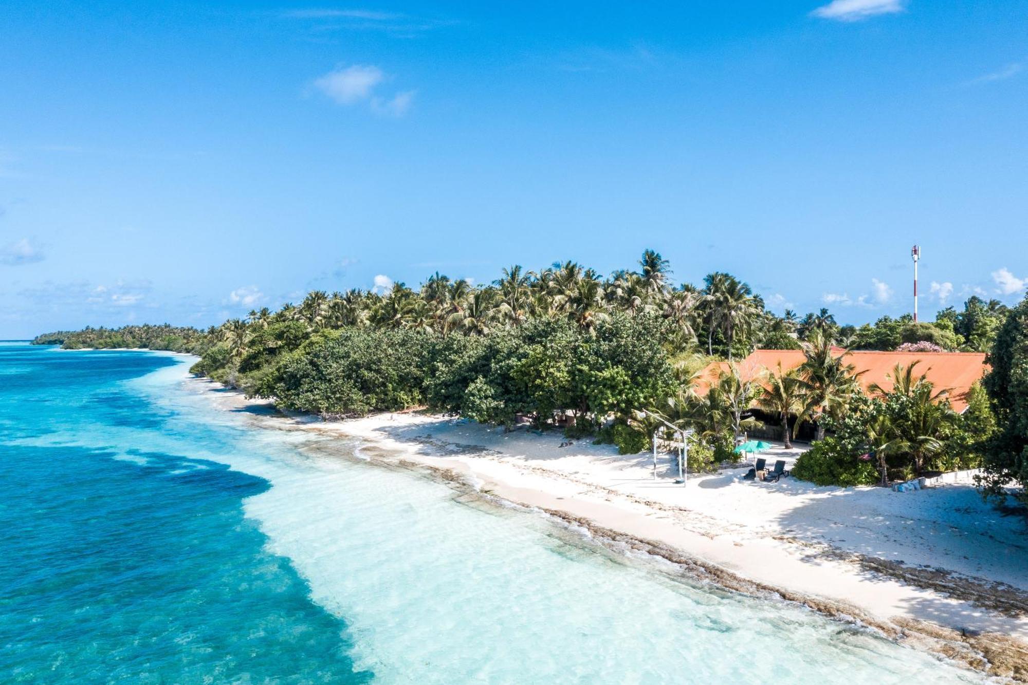 Hotel Tropical Tree Fehendhoo Zewnętrze zdjęcie