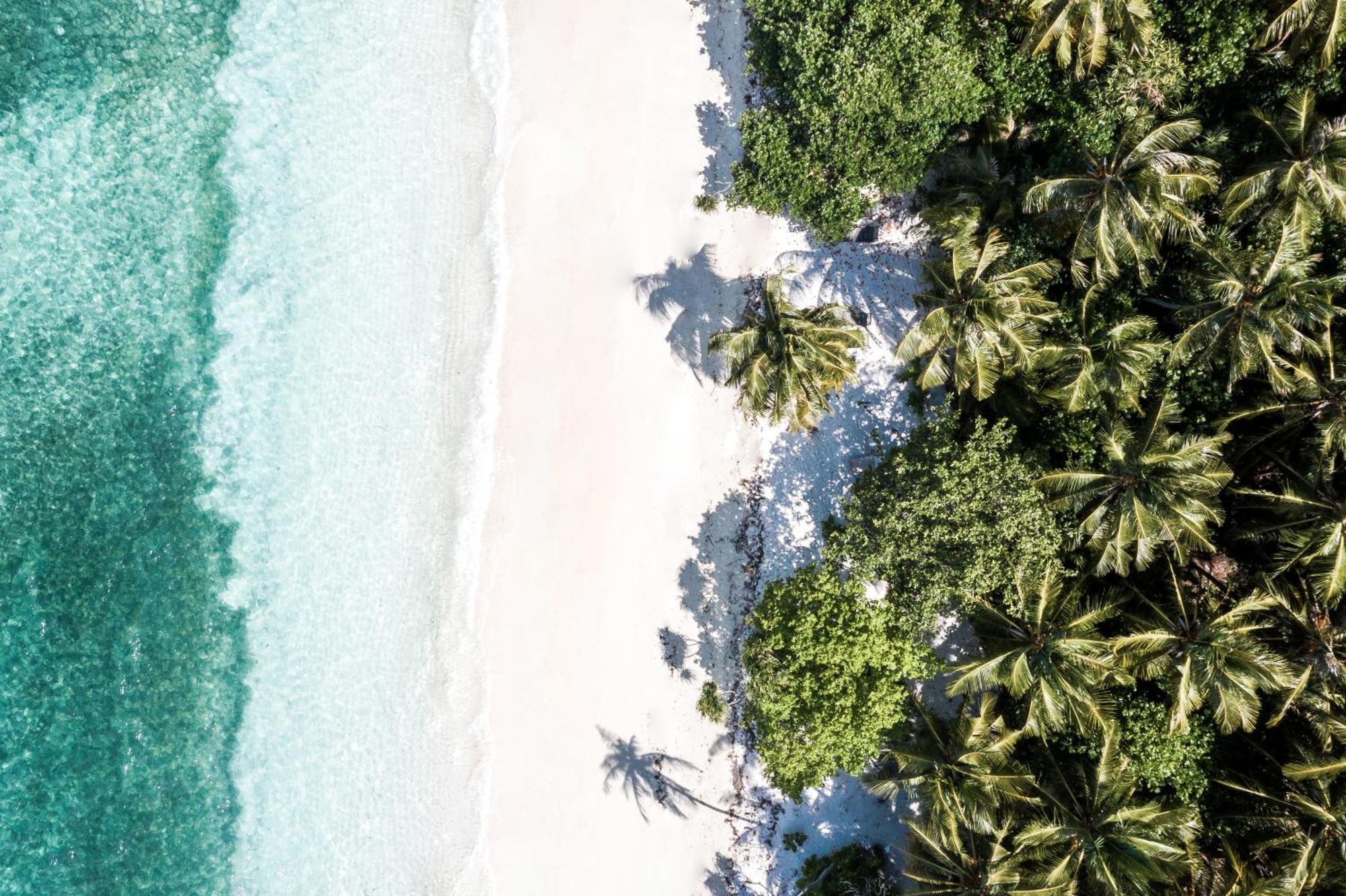 Hotel Tropical Tree Fehendhoo Zewnętrze zdjęcie