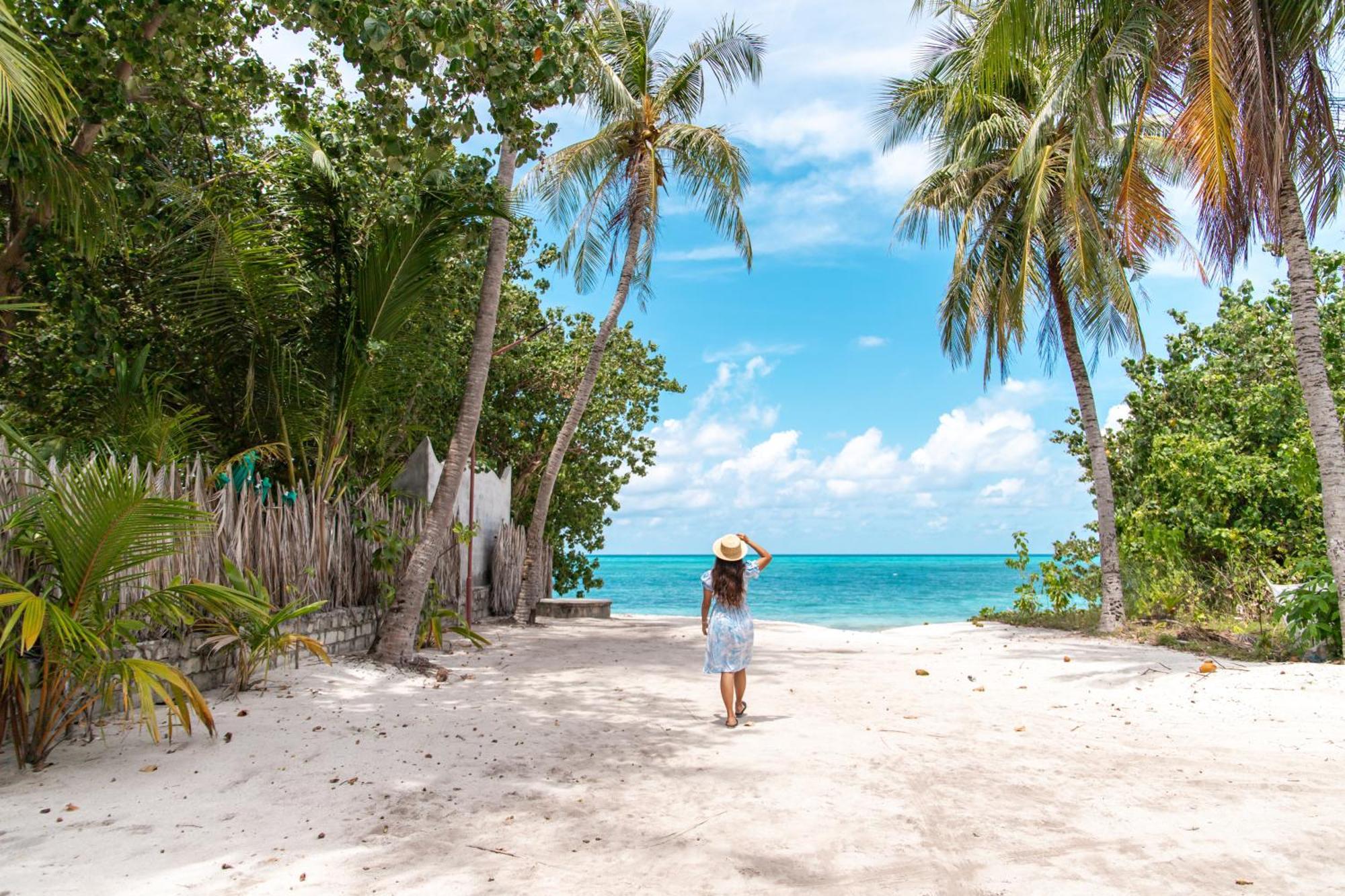 Hotel Tropical Tree Fehendhoo Zewnętrze zdjęcie